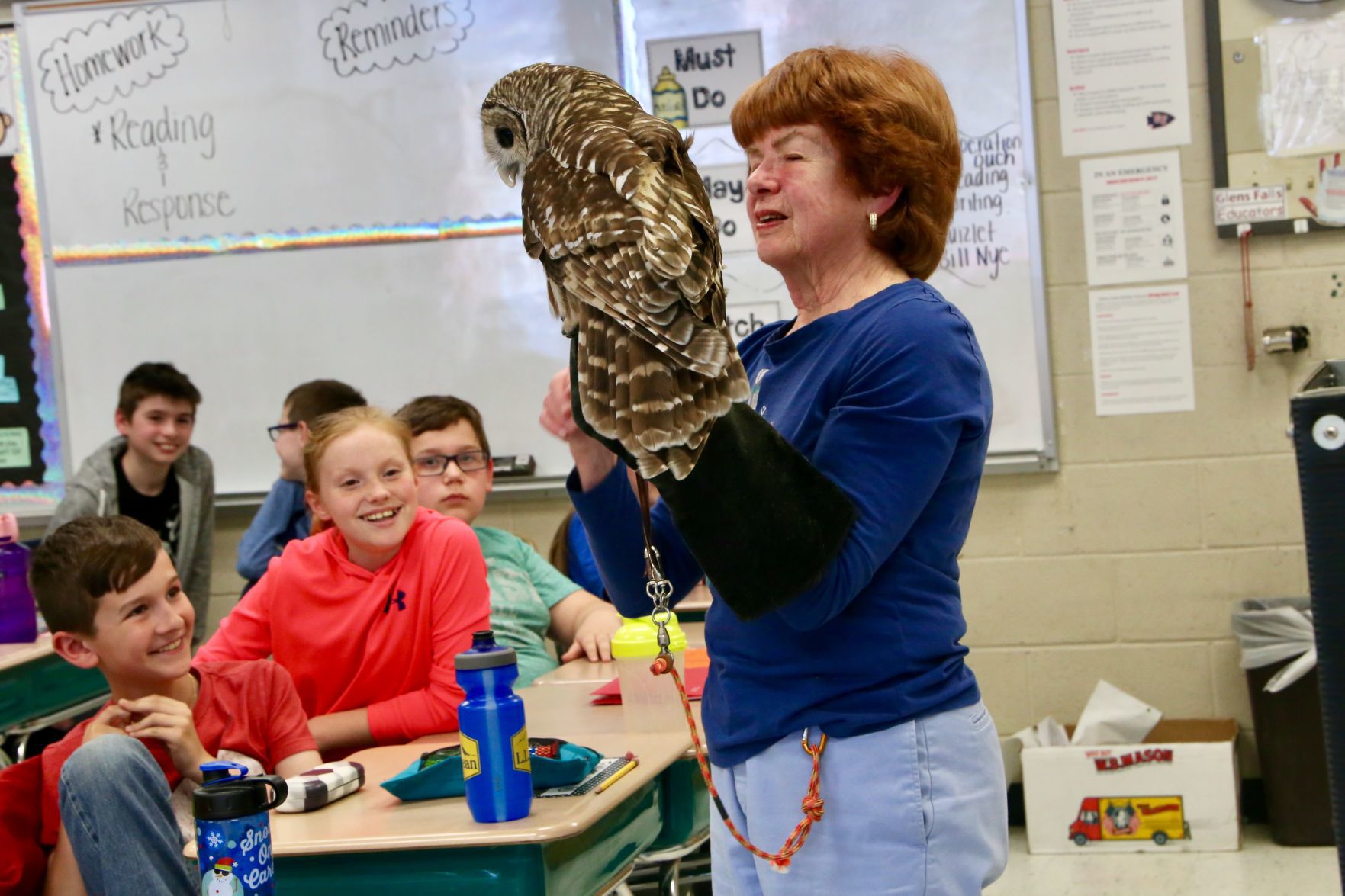 A hoot at school